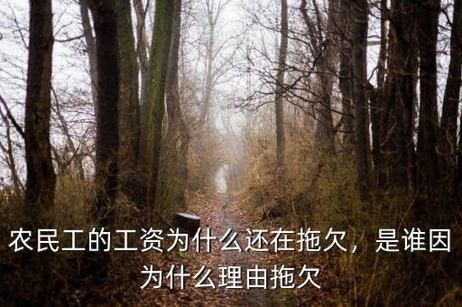 農(nóng)民工的工資為什么還在拖欠，是誰因為什么理由拖欠