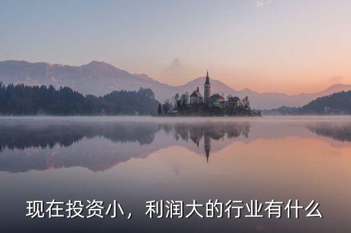 現(xiàn)在投資小，利潤大的行業(yè)有什么