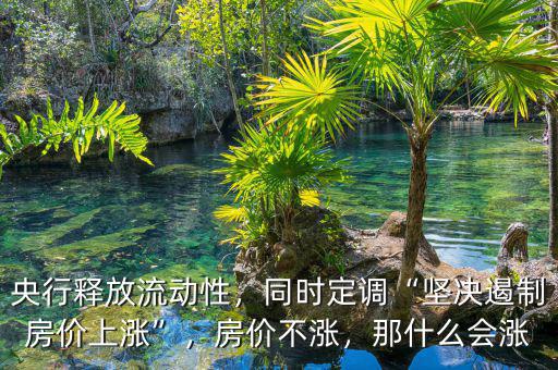 央行釋放流動性，同時定調(diào)“堅決遏制房價上漲”，房價不漲，那什么會漲