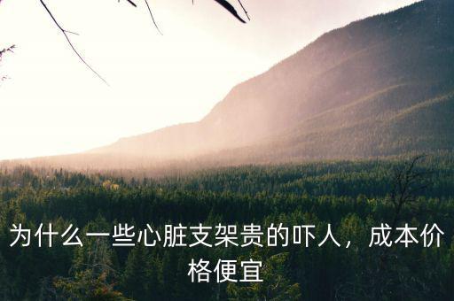 為什么一些心臟支架貴的嚇人，成本價(jià)格便宜