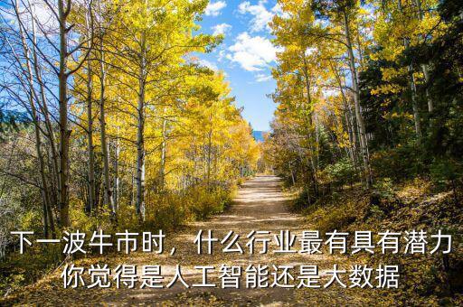 下一波牛市時，什么行業(yè)最有具有潛力你覺得是人工智能還是大數(shù)據(jù)