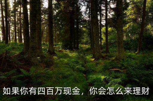 如果你有四百萬現(xiàn)金，你會怎么來理財
