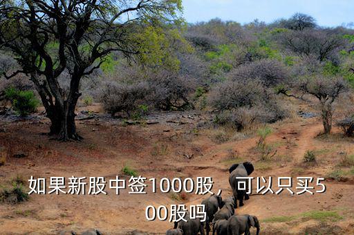 如果新股中簽1000股，可以只買500股嗎