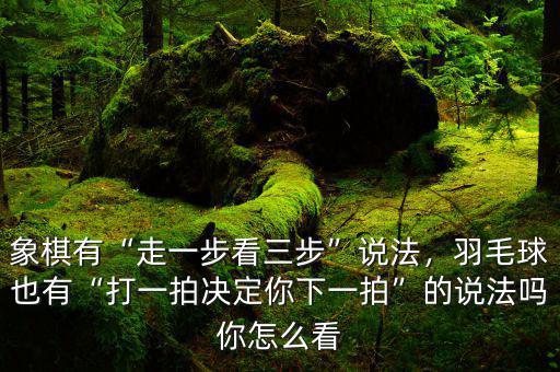 象棋有“走一步看三步”說法，羽毛球也有“打一拍決定你下一拍”的說法嗎你怎么看