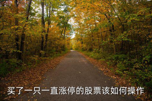 把漲停股票買(mǎi)入了怎么辦,買(mǎi)了會(huì)虧損嗎