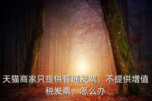 天貓商家只提供普通發(fā)票，不提供增值稅發(fā)票，怎么辦