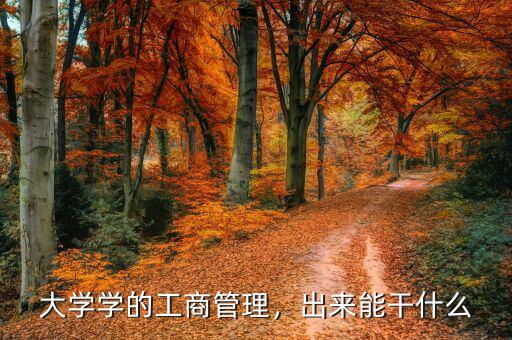 大學(xué)學(xué)的工商管理，出來能干什么