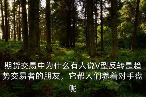 期貨交易中為什么有人說V型反轉(zhuǎn)是趨勢交易者的朋友，它幫人們養(yǎng)著對手盤呢