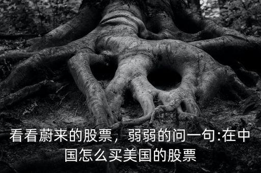 看看蔚來的股票，弱弱的問一句:在中國(guó)怎么買美國(guó)的股票