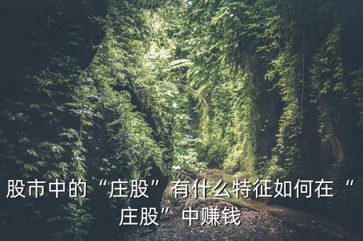 股市中的“莊股”有什么特征如何在“莊股”中賺錢(qián)