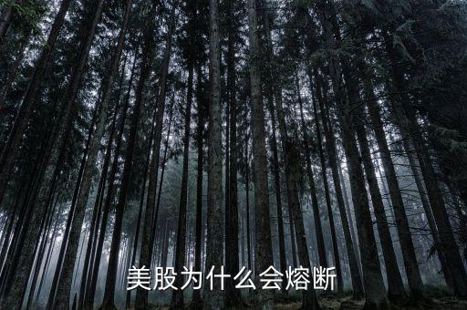 美股為什么會熔斷