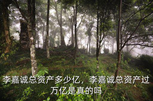 李嘉誠(chéng)總資產(chǎn)多少億，李嘉誠(chéng)總資產(chǎn)過(guò)萬(wàn)億是真的嗎