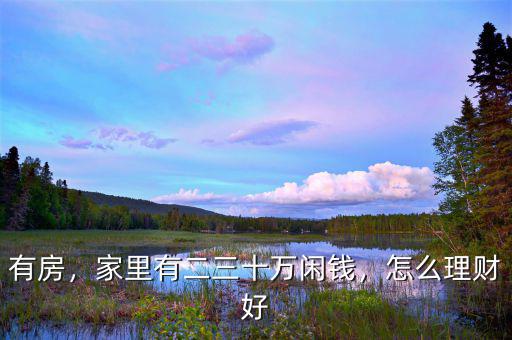 有房，家里有二三十萬閑錢，怎么理財好