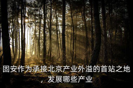 固安作為承接北京產(chǎn)業(yè)外溢的首站之地，發(fā)展哪些產(chǎn)業(yè)