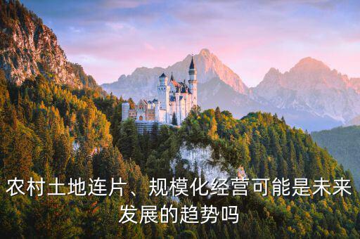 農(nóng)村土地連片、規(guī)?；?jīng)營(yíng)可能是未來(lái)發(fā)展的趨勢(shì)嗎