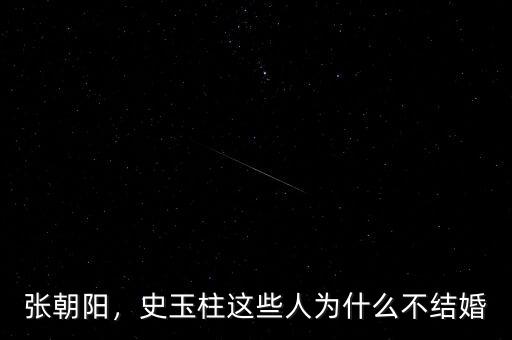 張朝陽，史玉柱這些人為什么不結(jié)婚