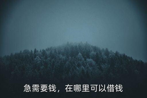 急需要錢，在哪里可以借錢