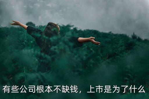 有些公司根本不缺錢，上市是為了什么