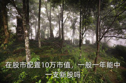 在股市配置10萬市值，一般一年能中一支新股嗎