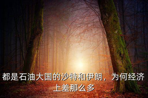 都是石油大國的沙特和伊朗，為何經(jīng)濟上差那么多