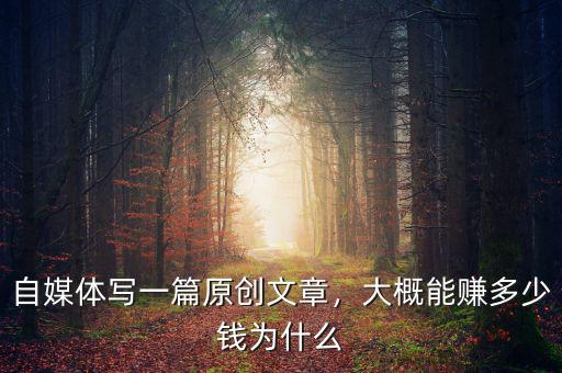 自媒體寫一篇原創(chuàng)文章，大概能賺多少錢為什么