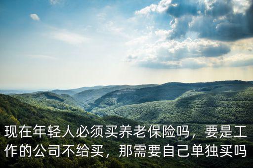 現(xiàn)在年輕人必須買(mǎi)養(yǎng)老保險(xiǎn)嗎，要是工作的公司不給買(mǎi)，那需要自己?jiǎn)为?dú)買(mǎi)嗎