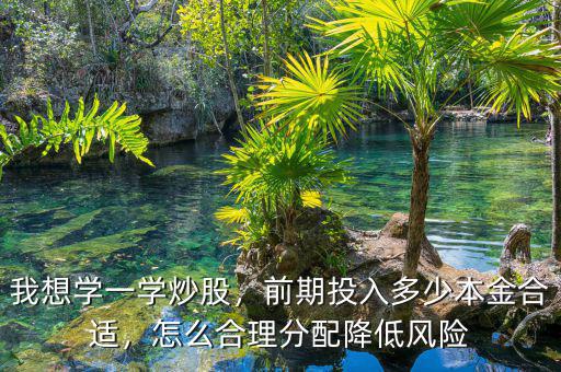 我想學(xué)一學(xué)炒股，前期投入多少本金合適，怎么合理分配降低風(fēng)險(xiǎn)