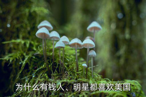 為什么有錢人、明星都喜歡美國