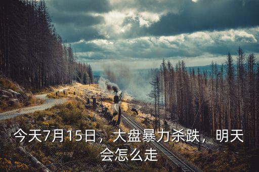 今天7月15日，大盤暴力殺跌，明天會怎么走