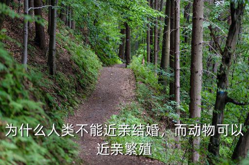 為什么人類不能近親結(jié)婚，而動物可以近親繁殖