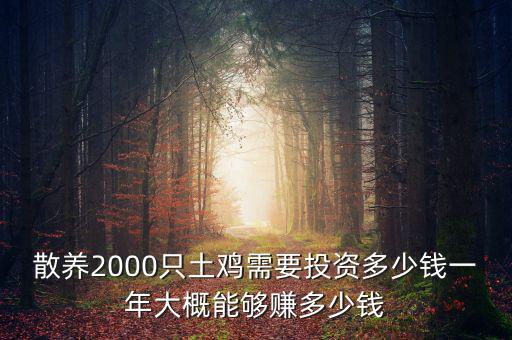 散養(yǎng)2000只土雞需要投資多少錢(qián)一年大概能夠賺多少錢(qián)