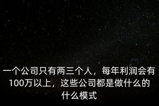 一個公司只有兩三個人，每年利潤會有100萬以上，這些公司都是做什么的什么模式