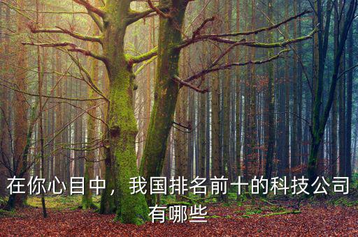 在你心目中，我國排名前十的科技公司有哪些