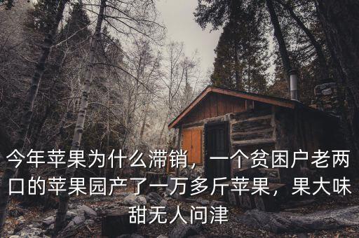 今年蘋果為什么滯銷，一個(gè)貧困戶老兩口的蘋果園產(chǎn)了一萬多斤蘋果，果大味甜無人問津