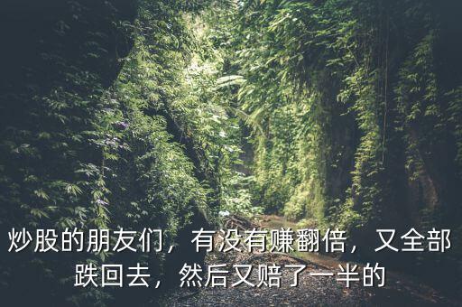 炒股的朋友們，有沒有賺翻倍，又全部跌回去，然后又賠了一半的