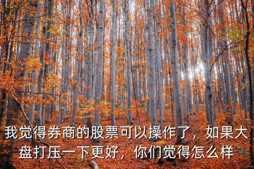 我覺得券商的股票可以操作了，如果大盤打壓一下更好，你們覺得怎么樣