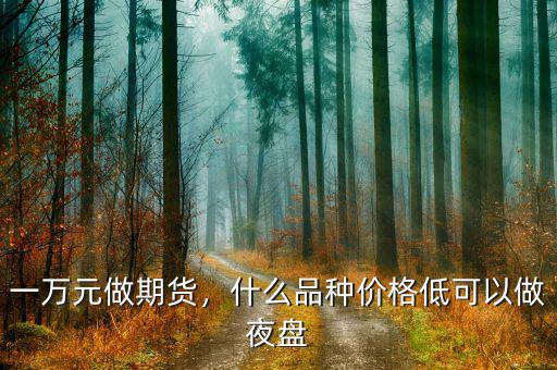 兩萬能做期貨什么品種,能在期貨市場(chǎng)做多久