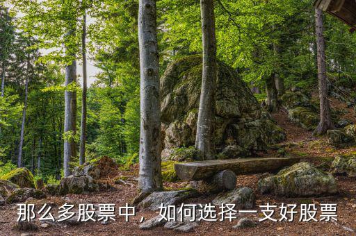 那么多股票中，如何選擇一支好股票