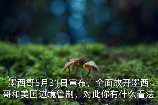 墨西哥5月31日宣布，全面放開墨西哥和美國邊境管制，對此你有什么看法