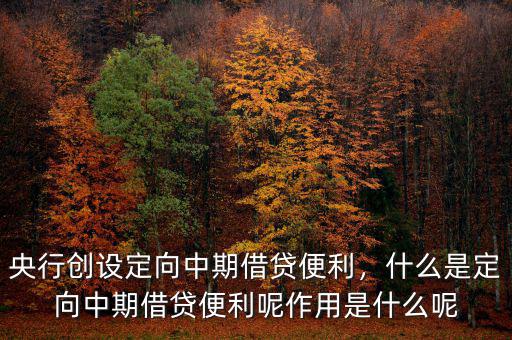 央行創(chuàng)設(shè)定向中期借貸便利，什么是定向中期借貸便利呢作用是什么呢
