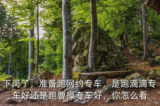 下崗了，準(zhǔn)備跑網(wǎng)約專車，是跑滴滴專車好還是跑曹操專車好，你怎么看