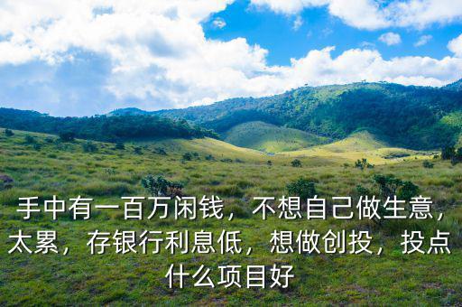 手中有一百萬閑錢，不想自己做生意，太累，存銀行利息低，想做創(chuàng)投，投點(diǎn)什么項目好
