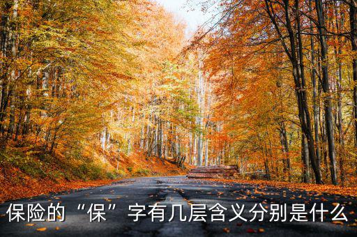 保險(xiǎn)的“?！弊钟袔讓雍x分別是什么