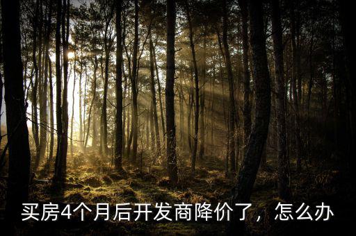 買房4個(gè)月后開(kāi)發(fā)商降價(jià)了，怎么辦