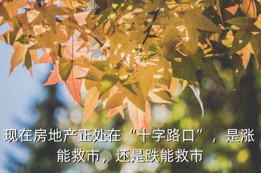 現(xiàn)在房地產(chǎn)正處在“十字路口”，是漲能救市，還是跌能救市