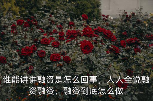 誰能講講融資是怎么回事，人人全說融資融資，融資到底怎么做
