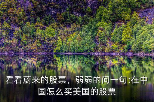看看蔚來的股票，弱弱的問一句:在中國怎么買美國的股票