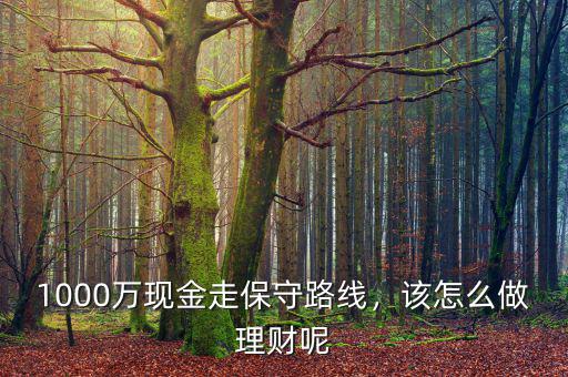 1000萬(wàn)現(xiàn)金走保守路線，該怎么做理財(cái)呢