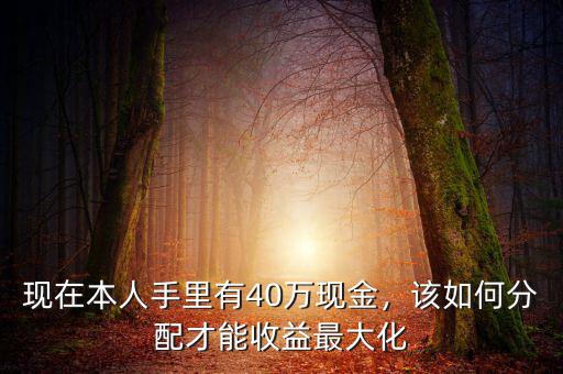 現(xiàn)在本人手里有40萬現(xiàn)金，該如何分配才能收益最大化