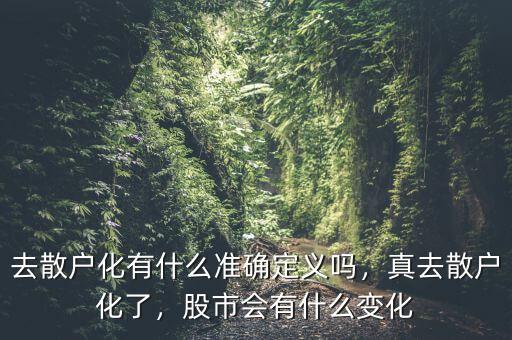 去散戶化有什么準(zhǔn)確定義嗎，真去散戶化了，股市會有什么變化